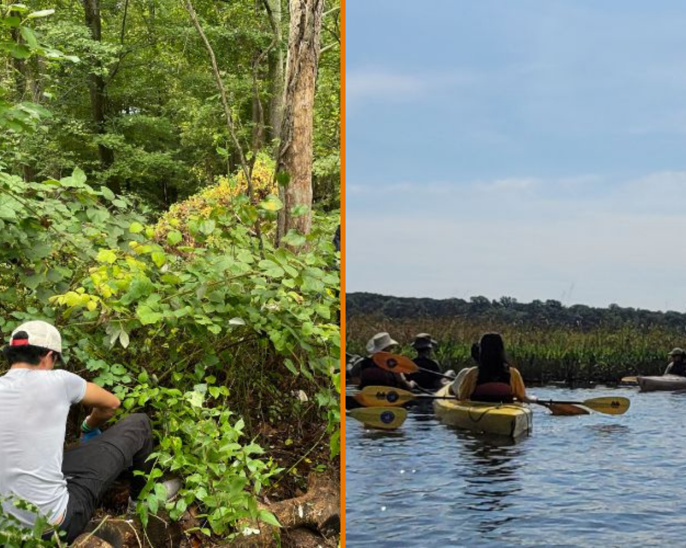 From Kayaks to Clean-Up: Learning Through Action